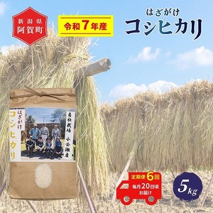 6  5kg VY RVqJ ͂| V ߘa7NY z㉜Y |  ͂ Ђ ꓙ     