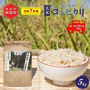 4  5kg VY RVqJ ͂| V ߘa7NY z㉜Y |  ͂ Ђ ꓙ   