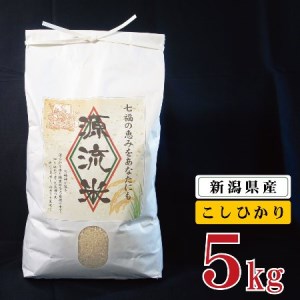 米 5kg 新潟県産 コシヒカリ 令和5年産 阿賀 上川 源流米 | 七福の恵 こしひかり 白米 精米 送料無料 お取り寄せ お米