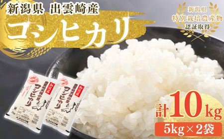 新米 新潟県産 コシヒカリ 10kg 出雲崎産 令和6年産