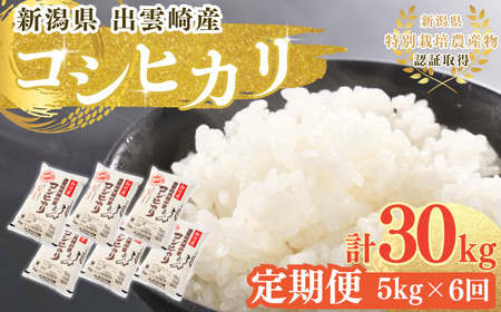 V VY RVqJ 5kg×6 o_ ߘa7NY  v30kg | RVqJ o_蒬