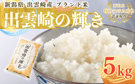 新米 新潟県産 コシヒカリ ブランド米 「出雲崎の輝き」 5kg 出雲崎産 令和6年産