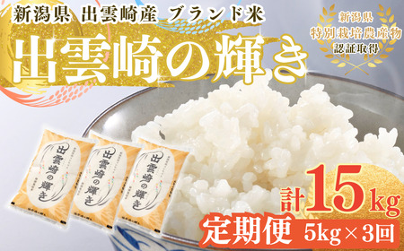 新米 新潟県産 コシヒカリ ブランド米 「出雲崎の輝き」 5kg×3か月 出雲崎産 令和6年産 定期便 合計15kg