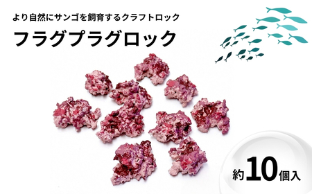 フラグプラグロック | 水槽 新潟県 出雲崎町