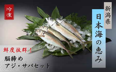 【鮮魚詰め合わせ】アジ・サバセット 脳締め アジ2-3尾 サバ1-2尾 鯵 あじ 鯖 さば 冷凍アジ・サバ 新鮮アジ・サバ 海鮮 大きい