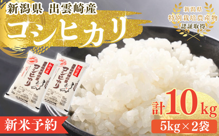 [先行予約] 新米 新潟県産 コシヒカリ 10kg (10月以降発送予定) 出雲崎町産 「天領の里」 令和7年産新米 白米コシヒカリ 精米コシヒカリ 新米コシヒカリ