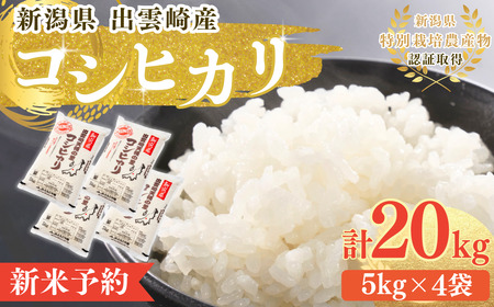 ys\z V VY RVqJ 20s (10ȍ~\) o_蒬Y uV̗̂v ߘa8NY | RVqJ V o_蒬