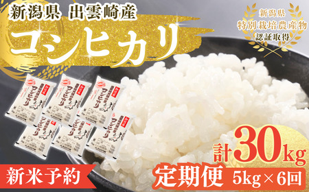 ys\z V VY RVqJ  5kg 6 (10ȍ~\) o_蒬Y uV̗̂v ߘa7NY v30kg | RVqJ V o_蒬