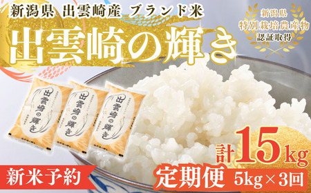 [先行予約] 新米 特別栽培米 コシヒカリ 「出雲崎の輝き」 定期便 5kg 3か月 (10月以降発送予定 ) 新潟県産 出雲崎町産 令和7年産新米 ブランド米 白米コシヒカリ 精米コシヒカリ 合計15kg