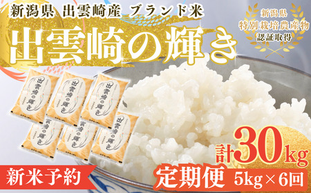 ys\z V ʍ͔| RVqJ uo_̋Pv  5kg 6 (10ȍ~\ ) VY o_蒬Y ߘa7NY v30kg | RVqJ V o_蒬