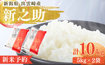 [先行予約] 新米 「新之助」10kg (10月以降発送予定) 新潟県産 出雲崎町産 令和7年産新米 白米 精米 新之助 新之助 新之助