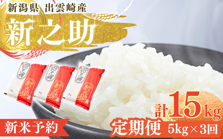 [先行予約] 新米「新之助」 定期便 5kg 3か月 (10月以降発送予定 ) 新潟県産 出雲崎町産 令和7年産新米 白米 精米 合計15kg 新之助 新之助 新之助