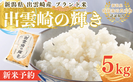 [先行予約・令和7年10月以降発送予定]新米予約 新潟県産 コシヒカリ ブランド米 「出雲崎の輝き」 5kg 出雲崎産 令和7年産 新潟県コシヒカリ 白米 精米 新米 出雲崎町 こしひかり