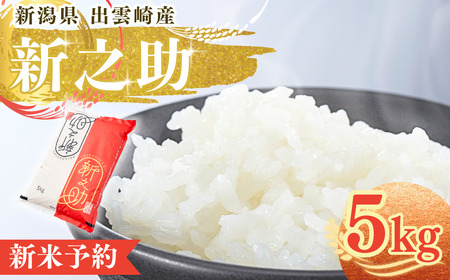[先行予約・令和7年10月以降発送予定]新米予約 新潟県産 「新之助」 5kg 出雲崎産 令和7年産新米 精米 白米 新之助