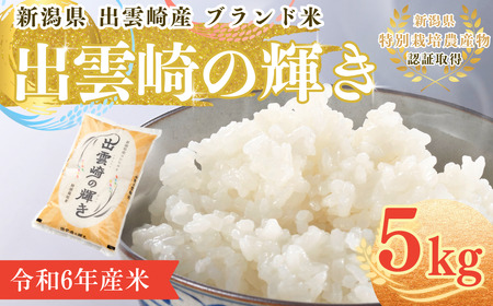 [2週間以内発送・数量限定]令和6年産 コシヒカリ 特別栽培米 「出雲崎の輝き」 5kg 新潟県産 出雲崎町産 ブランド米 白米 精米 お米