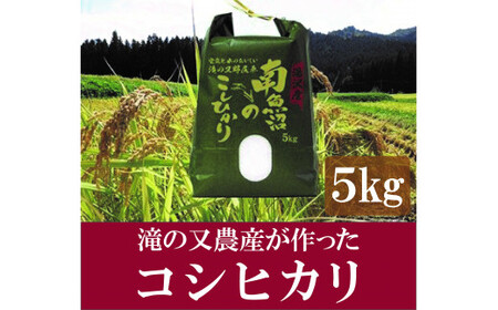 令和5年産 滝の又農産が作ったお米 精米5kg[湯沢産コシヒカリ]
