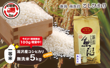 [3ヶ月定期便]令和5年産 湯沢産コシヒカリ[無洗米]5kg 精米したてのお米をお届け