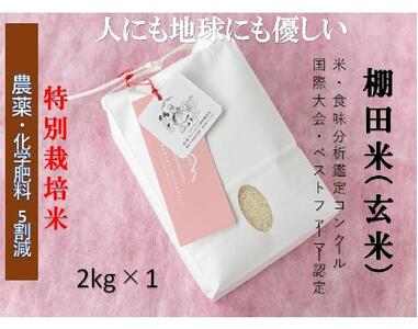 [2025年産新米]魚沼産コシヒカリ 苗場プリンセス 特別栽培米 農薬化学肥料5割減 玄米(2kg)×1