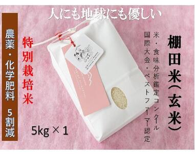 【2025年産新米】魚沼産コシヒカリ 苗場プリンセス 特別栽培米 農薬化学肥料5割減 玄米（5kg）×1