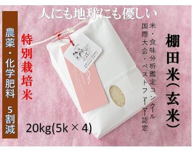 【2025年産新米】魚沼産コシヒカリ 苗場プリンセス 特別栽培米 農薬化学肥料5割減 玄米20kg（5kg×4）