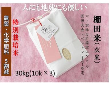 【2025年産新米】魚沼産コシヒカリ 苗場プリンセス 特別栽培米 農薬化学肥料5割減 玄米30kg（10kg×3）