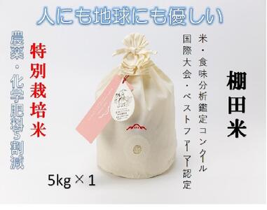 [2025年産新米]魚沼産コシヒカリ 苗場プリンセス 特別栽培米 農薬化学肥料5割減 精米(5kg)×1(コットン袋入り)