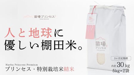 【2025年産新米】【3ヶ月定期便】【農薬化学肥料5割減】魚沼コシヒカリ 苗場プリンセス 特別栽培米 精米 10kg(5kg×2袋)×3回 計30kg |津南町 コシヒカリ 定期便