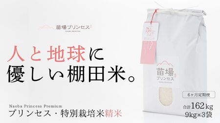 【2025年産新米】【6ヶ月定期便】【農薬化学肥料5割減】魚沼コシヒカリ 苗場プリンセス 特別栽培米 精米 27kg(9kg×3袋)×6回 計162kg |津南町 コシヒカリ 定期便