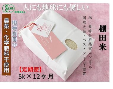 【2025年産新米】【定期便】魚沼コシヒカリ 苗場プリンセス・プレミアム 有機jaS認証米 精米（5kg）×12回 合計60kg