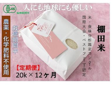 [2025年産新米][定期便]魚沼コシヒカリ 苗場プリンセス・プレミアム 有機jaS認証米 精米(20kg)×12回 合計240kg