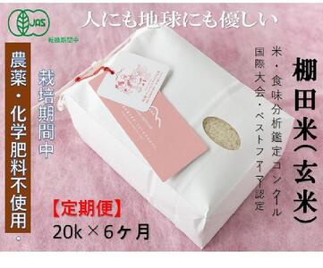 [2025年産新米][定期便]魚沼コシヒカリ 苗場プリンセス・プレミアム 有機jaS認証米中 玄米(20kg)×6回 合計120kg