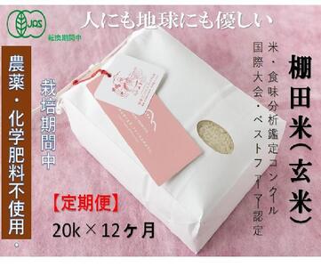 [2025年産新米][定期便]魚沼コシヒカリ 苗場プリンセス・プレミアム 有機jaS認証米 玄米(20kg)×12回 合計240kg