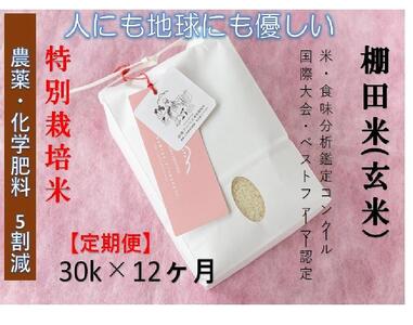 [2025年産新米][12ヶ月定期便][農薬化学肥料5割減]魚沼コシヒカリ 苗場プリンセス 特別栽培米 玄米 30kg(10kg×3袋)×12回 計360kg