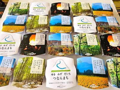 魚沼産コシヒカリ 苗場プリンセス 農薬・化学肥料5割減特別栽培米 ごはんパック(20パック入り） |津南町 パックごはん