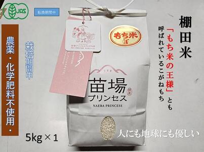 Y˂ 5kg L@jarFؕ |Ó쒬 ˂