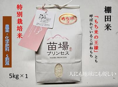 Y˂ 5kg ʍ͔| _򉻊w엿5 |Ó쒬 ˂