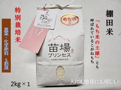 Y˂ 2kg ʍ͔| _򉻊w엿5 |Ó쒬 ˂