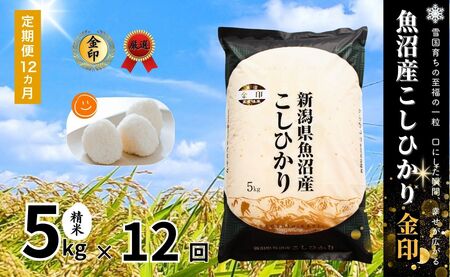 y12ցzߘa7NYV YRVqJuvH 5kg×S12 V LЃC^o |Ó쒬 YRVqJ 