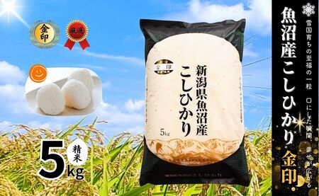令和7年産新米 魚沼産コシヒカリ 「金印」 高食味米 5kg 新潟県 津南町 有限会社イタバ