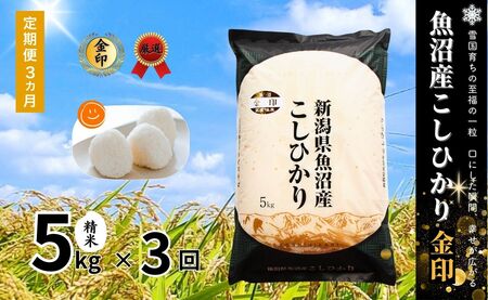 [3ヶ月定期便]令和7年産新米 魚沼産コシヒカリ「金印」高食味米 5kg×全3回 新潟県 津南町 有限会社イタバ