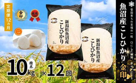 y12ցzߘa7NYV YRVqJuvH 10kg×S12 V LЃC^o |Ó쒬 YRVqJ 