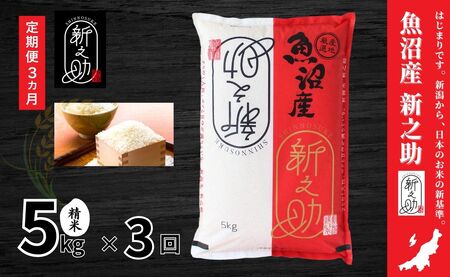 [3ヶ月定期便]令和7年産新米 中魚沼産「新之助(しんのすけ)」5kg×全3回 新潟県 津南町 有限会社イタバ