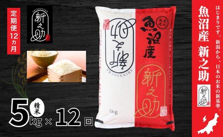 y12ցzߘa7NYV YuVV(̂)v5kg×S12 V LЃC^o |Ó쒬 YRVqJ 