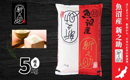 令和7年産新米 中魚沼産「新之助(しんのすけ)」5kg 新潟県 津南町 有限会社イタバ