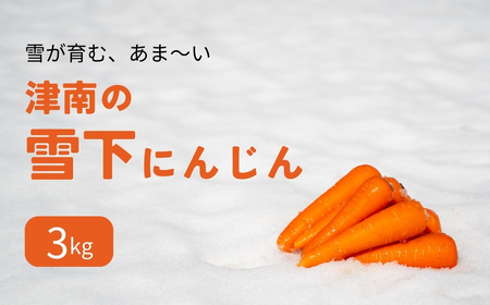 [令和8年産先行予約]津南の雪下にんじん 3kg 新潟県 旭商事株式会社