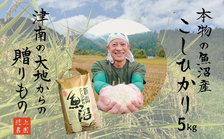 令和7年産 魚沼産コシヒカリ 白米 5kg 新潟県 津南町 近上農園
