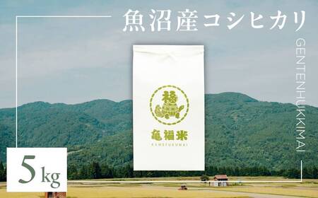 ߘa7NY YRVqJuT _Aāv5kg(ʍ͔|) ЋT |  |Ó쒬 YRVqJ