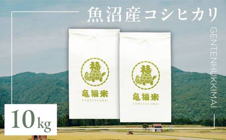 ߘa7NY YRVqJuT _Aāv10kg(5kg×2) (ʍ͔|) ЋT |  |Ó쒬 YRVqJ