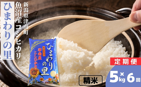 �y6��������ցz�y�ߘa7�N�Y�z�����Y�R�V�q�J�� �u�Ђ܂��̗��v5kg (5kg×1��) �V���� �Ó쒬 ��㉮���X