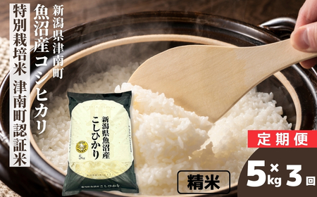 �y3��������ցz�y�ߘa7�N�Y�z�����Y�R�V�q�J�� ���ʍ͔|�� �Ó쒬�F�ؕ� 5kg�i5kg×1��) �V���� �Ó쒬 ��㉮���X